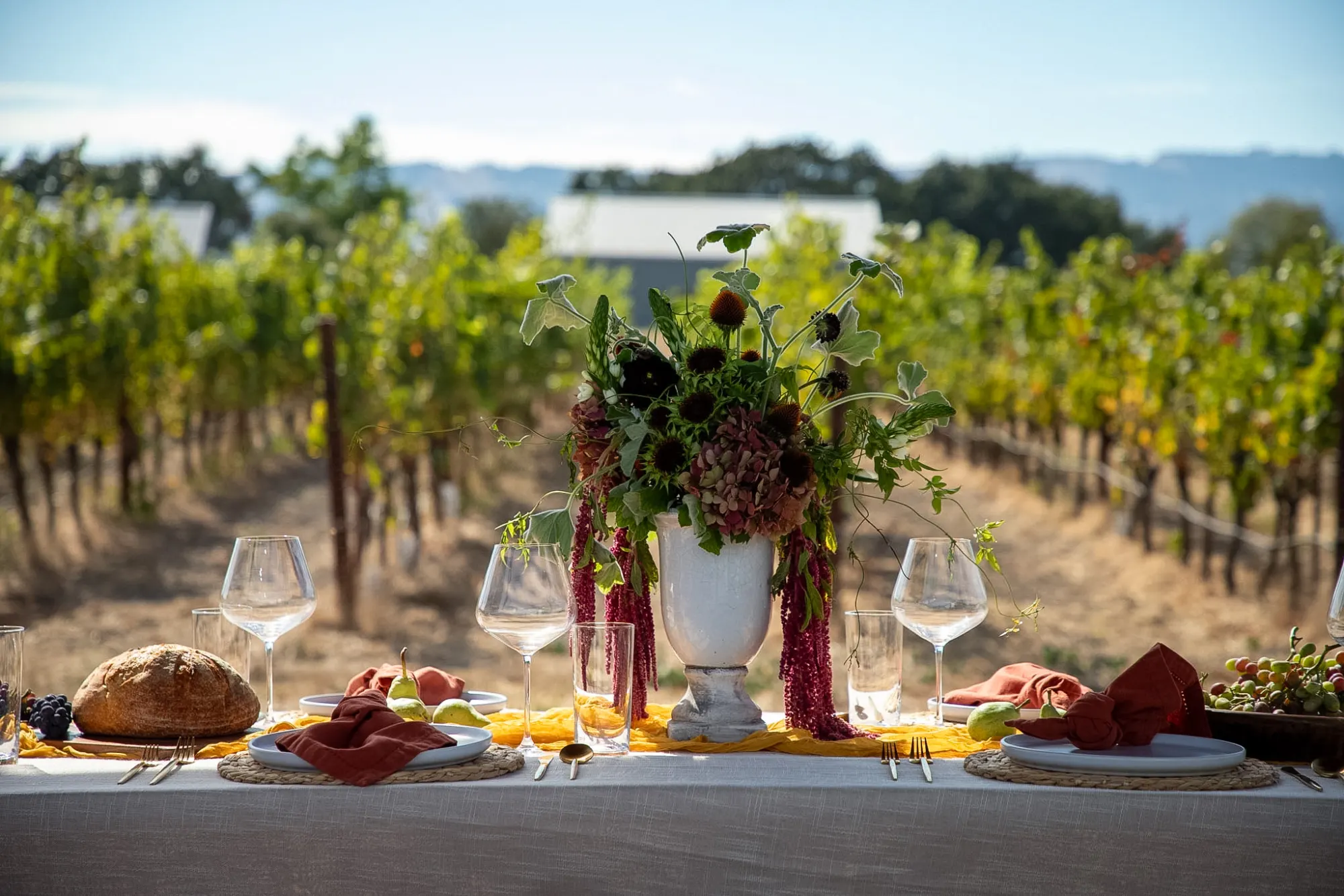 A vineyard table in Sonoma with a white urn of dahlias and trailing amaranthus, rust linen napkins and a mustard gauze runner.